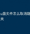 u盘文件怎么取消隐藏的文件夹