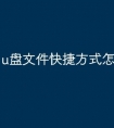 u盘文件快捷方式怎么办