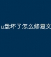 u盘坏了怎么修复文件