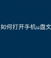 如何打开手机u盘文件
