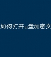 如何打开u盘加密文件