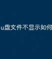 u盘文件不显示如何设置