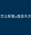 怎么恢复u盘丢失文件