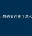 u盘的文件删了怎么恢复