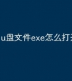 u盘文件exe怎么打开方式