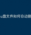 u盘文件如何自动删除