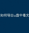 如何导出u盘中毒文件