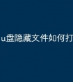u盘隐藏文件如何打开