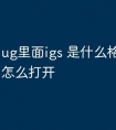 ug里面igs 是什么格式的文件怎么打开