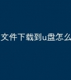 文件下载到u盘怎么找