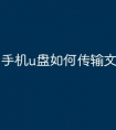 手机u盘如何传输文件