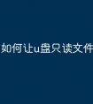 如何让u盘只读文件