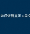 如何恢复显示 u盘文件