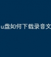u盘如何下载录音文件
