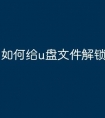 如何给u盘文件解锁