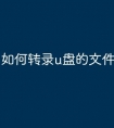 如何转录u盘的文件