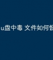 u盘中毒 文件如何恢复