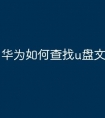 华为如何查找u盘文件