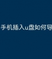 手机插入u盘如何导文件
