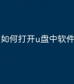 如何打开u盘中软件文件