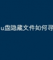 u盘隐藏文件如何寻找