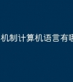 机制计算机语言有哪些特点