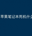 苹果笔记本死机什么原因