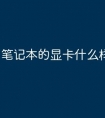 笔记本的显卡什么样