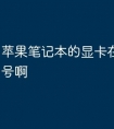 苹果笔记本的显卡在哪里看型号啊