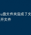 u盘文件夹变成了文件怎么打开文件