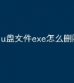 u盘文件exe怎么删除
