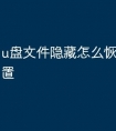 u盘文件隐藏怎么恢复出厂设置