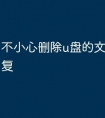 不小心删除u盘的文件怎么恢复
