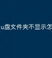u盘文件夹不显示怎么办