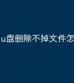 u盘删除不掉文件怎么办