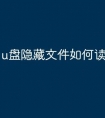 u盘隐藏文件如何读取