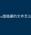 u盘隐藏的文件怎么查找