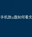 手机放u盘如何看文件