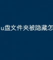 u盘文件夹被隐藏怎么办