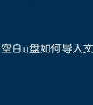 空白u盘如何导入文件
