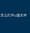 怎么打开u盘文件