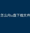 怎么向u盘下载文件