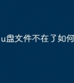 u盘文件不在了如何找回