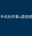 手机如何看u盘视频文件