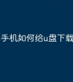 手机如何给u盘下载文件