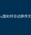 u盘如何自动排序文件