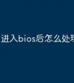进入bios后怎么处理