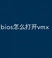 bios怎么打开vmx