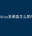 bios里硬盘怎么禁用