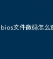bios文件微码怎么查